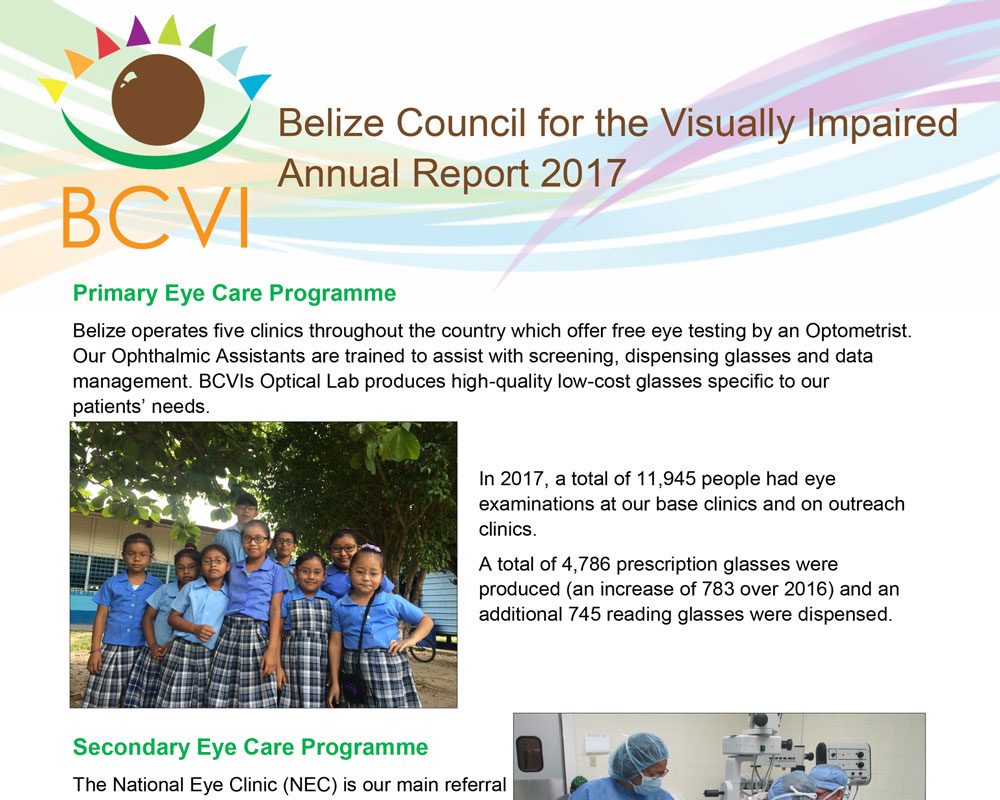 BCVI Summary/flyer